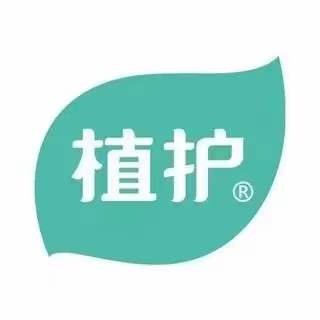維亞造紙機(jī)械與來(lái)賓廣西植護(hù)云商7、8號(hào)機(jī)正式簽約
